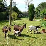 La Quercia Dei Tigli בית חווה פורלי