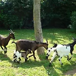 בית חווה La Quercia Dei Tigli