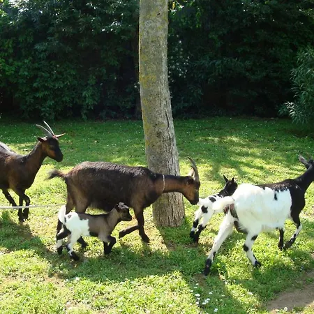 Alloggio per agriturismo La Quercia Dei Tigli