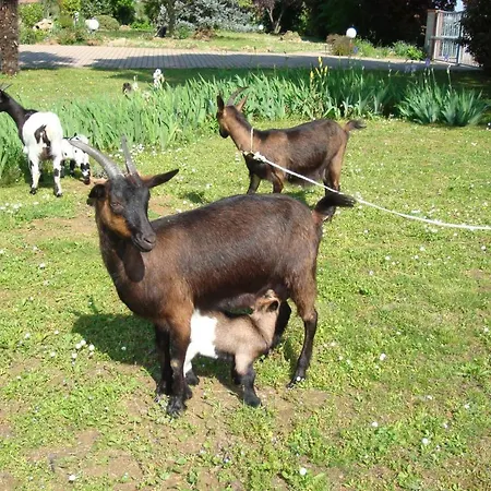 农家乐 La Quercia Dei Tigli 弗利