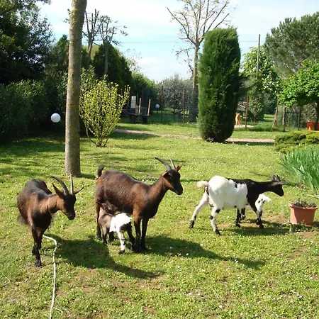 La Quercia Dei Tigli Feriegård Forlì