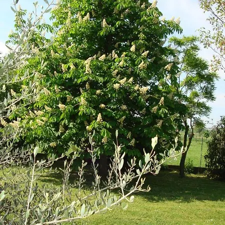 Feriegård La Quercia Dei Tigli Forlì