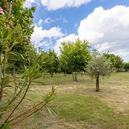 La Quercia Dei Tigli
