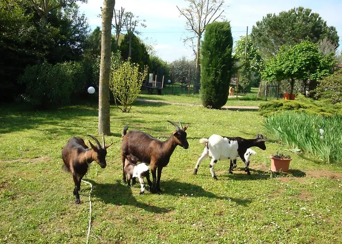 La Quercia Dei Tigli Farm stay Forli