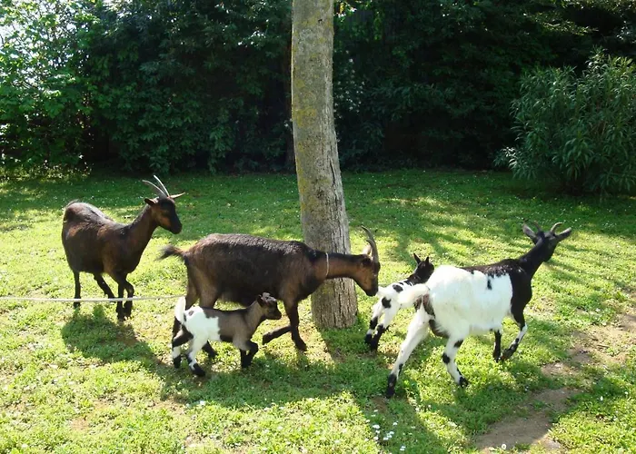 Alloggio per agriturismo La Quercia Dei Tigli
